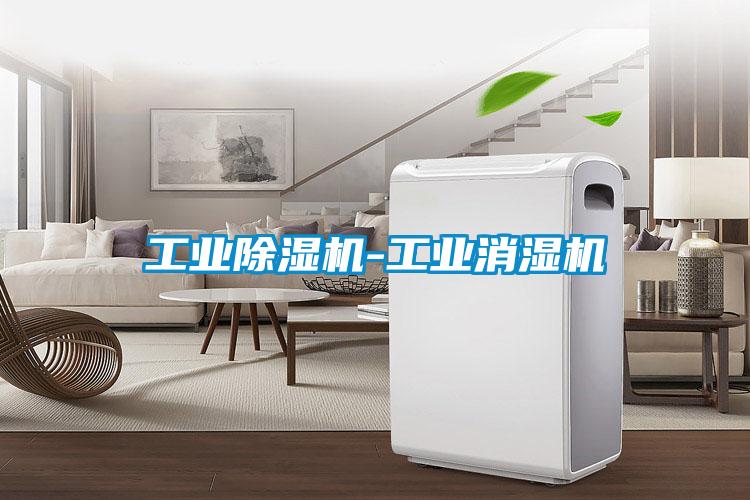 工業麻豆视频免费看-工業消濕機