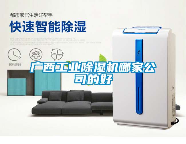 廣西工業麻豆视频免费看哪家公司的好