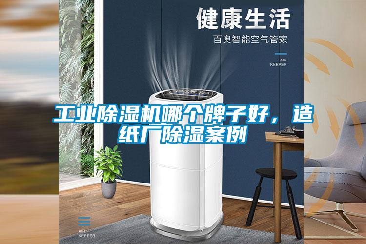 工業麻豆视频免费看哪個牌子好，造紙廠除濕案例