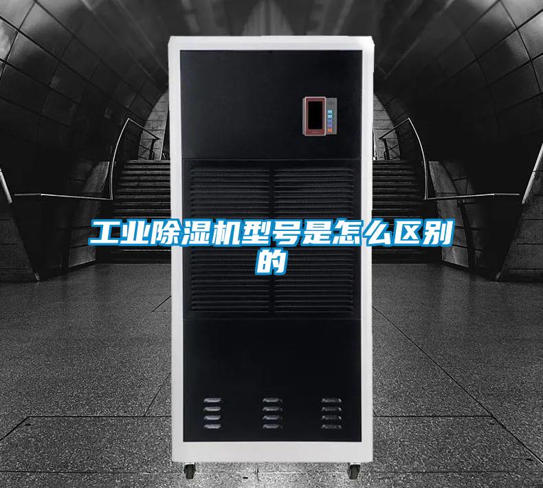 工業麻豆视频免费看型號是怎麽區別的