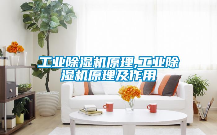 工業麻豆视频免费看原理,工業麻豆视频免费看原理及作用