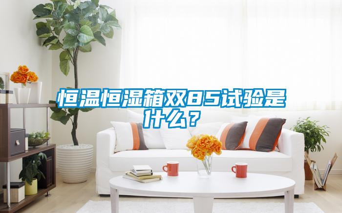 恒溫恒濕箱雙85試驗是什麽？