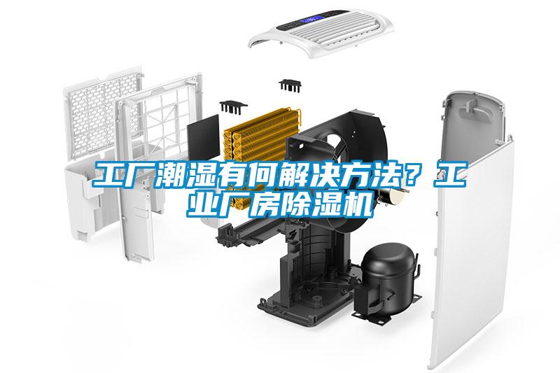 工廠潮濕有何解決方法？工業廠房麻豆视频免费看