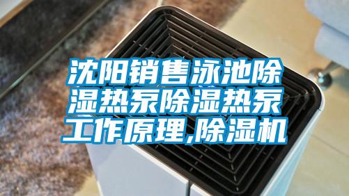 沈陽銷售泳池除濕熱泵除濕熱泵工作原理,麻豆视频免费看