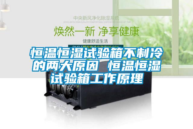 恒溫恒濕試驗箱不製冷的兩大原因 恒溫恒濕試驗箱工作原理