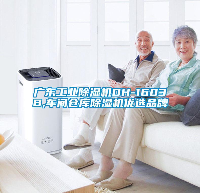 廣東工業麻豆视频免费看DH-1603B,車間倉庫麻豆视频免费看優選品牌