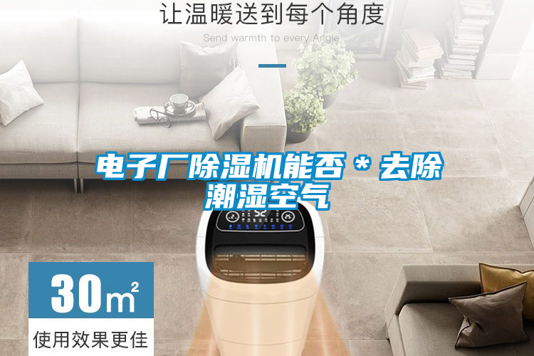 電子廠麻豆视频免费看能否＊去除潮濕空氣