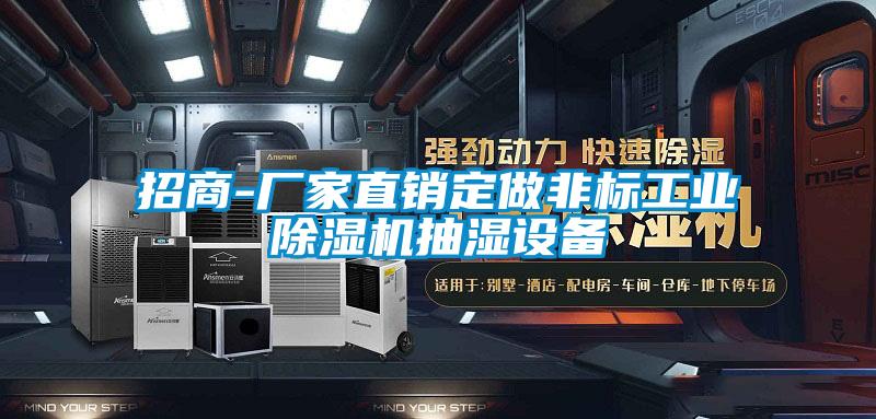 招商-廠家直銷定做非標工業麻豆视频免费看抽濕設備