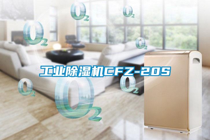 工業麻豆视频免费看CFZ-20S