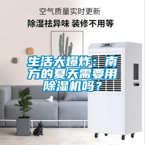 生活大爆炸：南方的夏天需要用麻豆视频免费看嗎？
