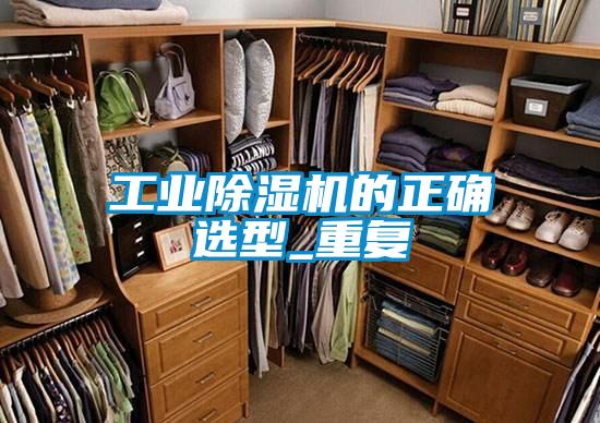 工業麻豆视频免费看的正確選型_重複