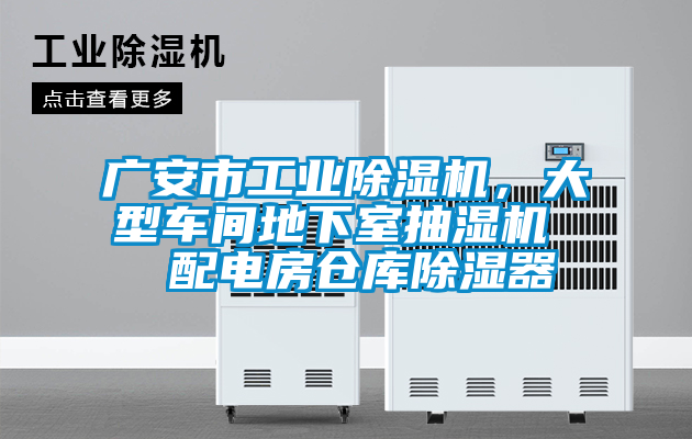 廣安市工業麻豆视频免费看，大型車間地下室抽濕機  配電房倉庫除濕器