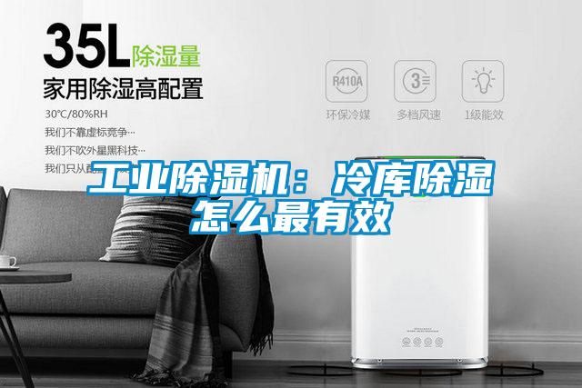 工業麻豆视频免费看：冷庫除濕怎麽最有效