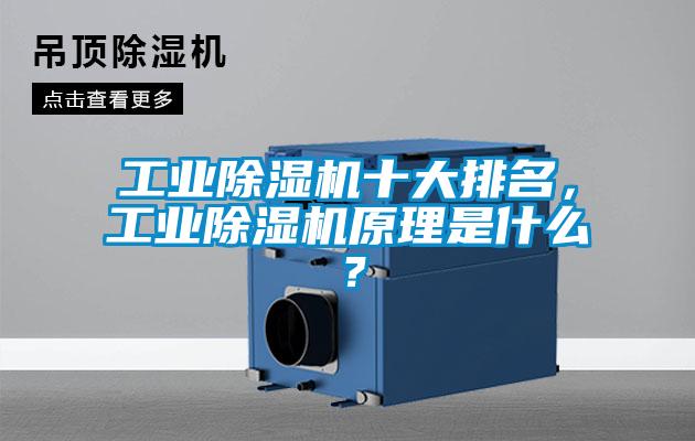 工業麻豆视频免费看十大排名，工業麻豆视频免费看原理是什麽？