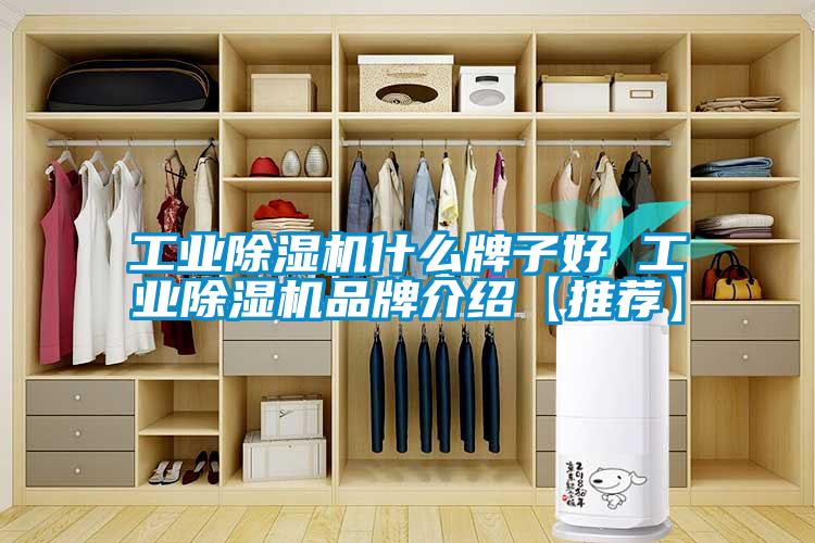 工業麻豆视频免费看什麽牌子好 工業麻豆视频免费看品牌介紹【推薦】