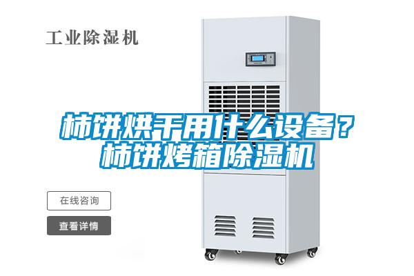 柿餅烘幹用什麽設備？柿餅烤箱麻豆视频免费看