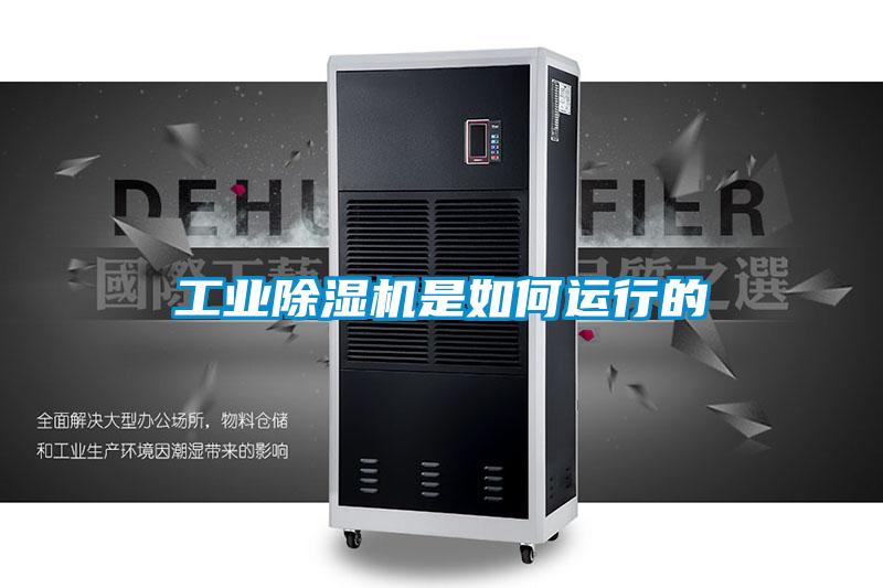 工業麻豆视频免费看是如何運行的