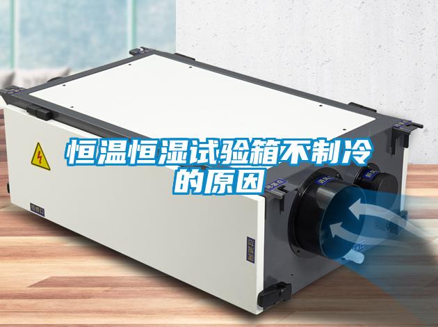 恒溫恒濕試驗箱不製冷的原因