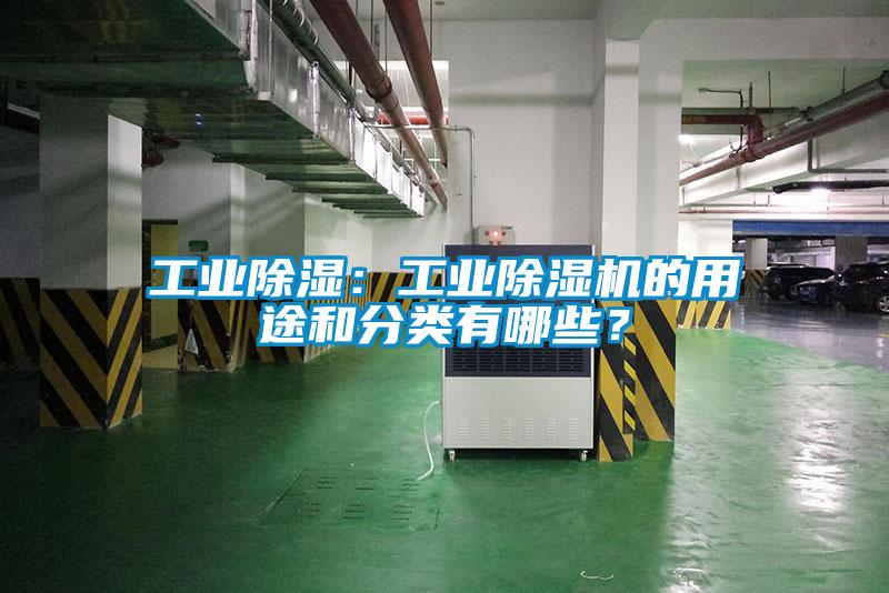 工業除濕：工業麻豆视频免费看的用途和分類有哪些？