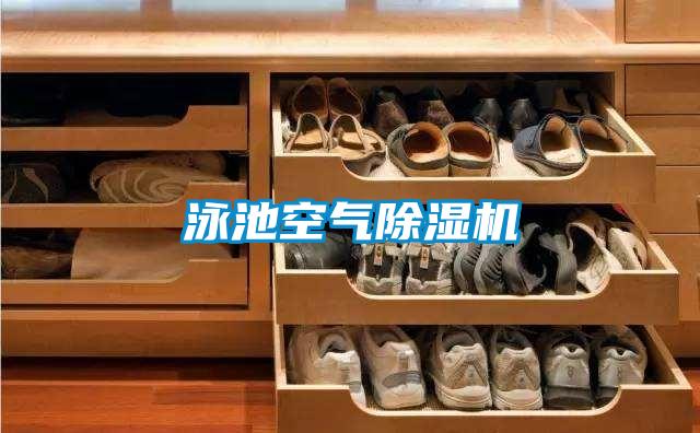 泳池空氣麻豆视频免费看