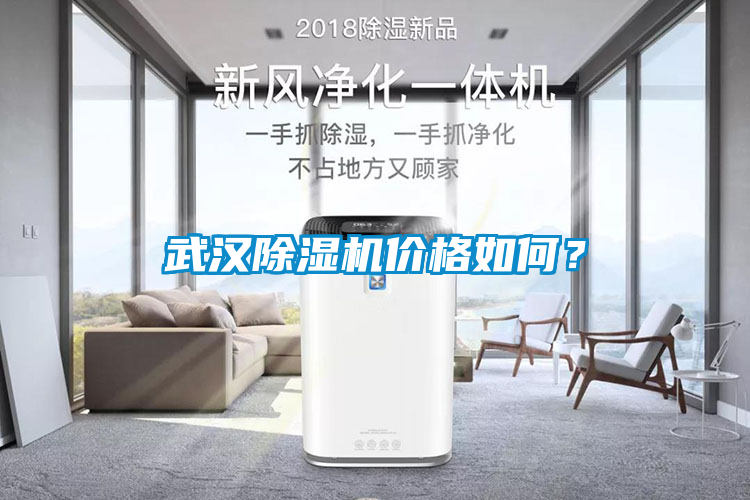 武漢麻豆视频免费看價格如何？
