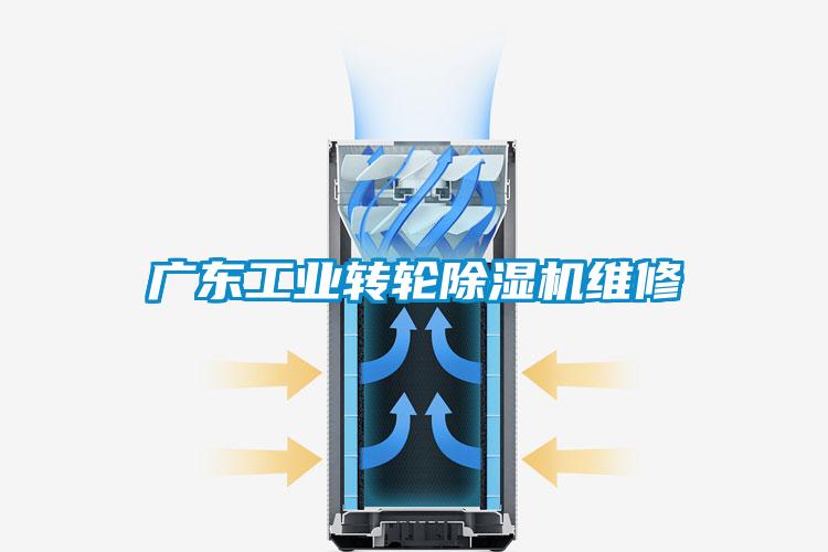 廣東工業轉輪麻豆视频免费看維修
