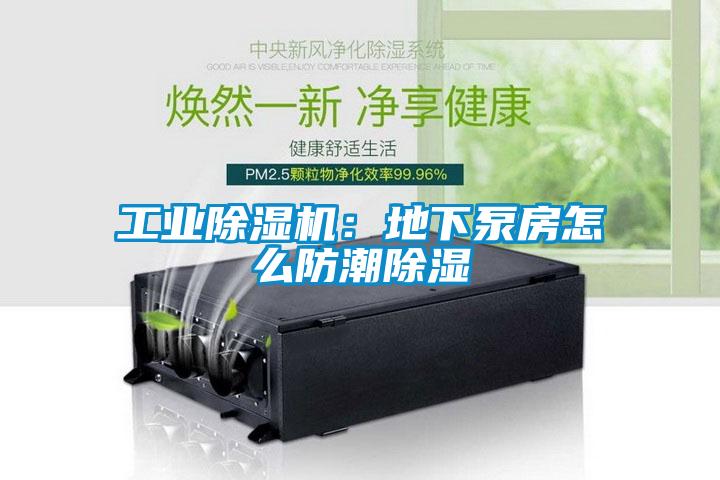 工業麻豆视频免费看：地下泵房怎麽防潮除濕