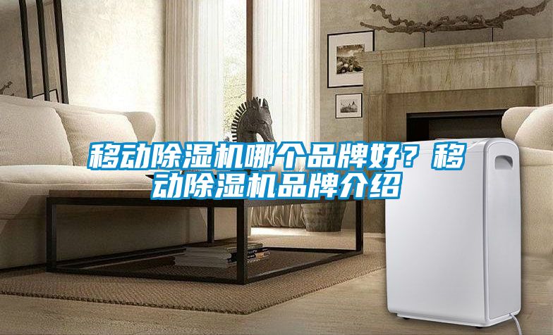 移動麻豆视频免费看哪個品牌好？移動麻豆视频免费看品牌介紹