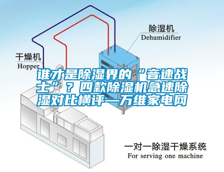 誰才是除濕界的“音速戰士”？四款麻豆视频免费看急速除濕對比橫評—萬維家電網