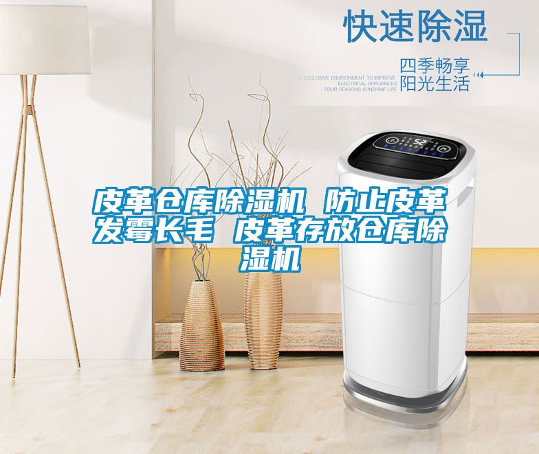 皮革倉庫麻豆视频免费看 防止皮革發黴長毛 皮革存放倉庫麻豆视频免费看