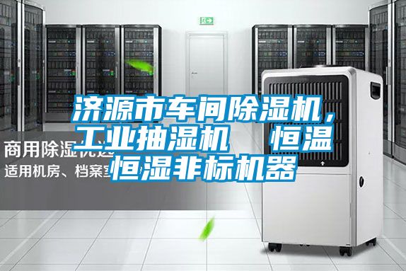 濟源市車間麻豆视频免费看，工業抽濕機  恒溫恒濕非標機器