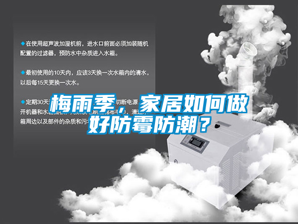 梅雨季，家居如何做好防黴防潮？