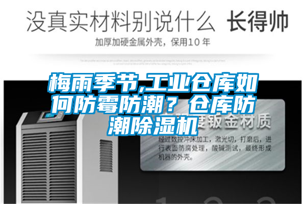 梅雨季節,工業倉庫如何防黴防潮？倉庫防潮麻豆视频免费看
