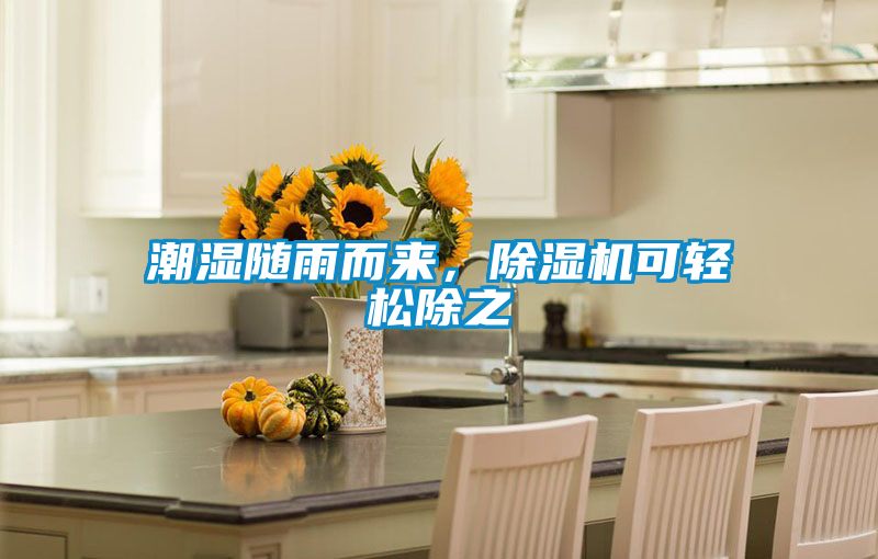 潮濕隨雨而來，麻豆视频免费看可輕鬆除之