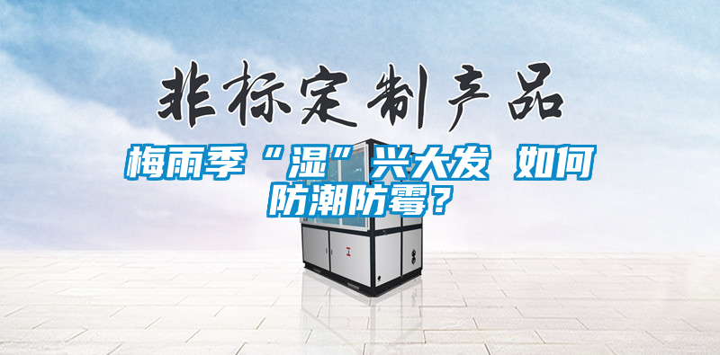 梅雨季“濕”興大發 如何防潮防黴？