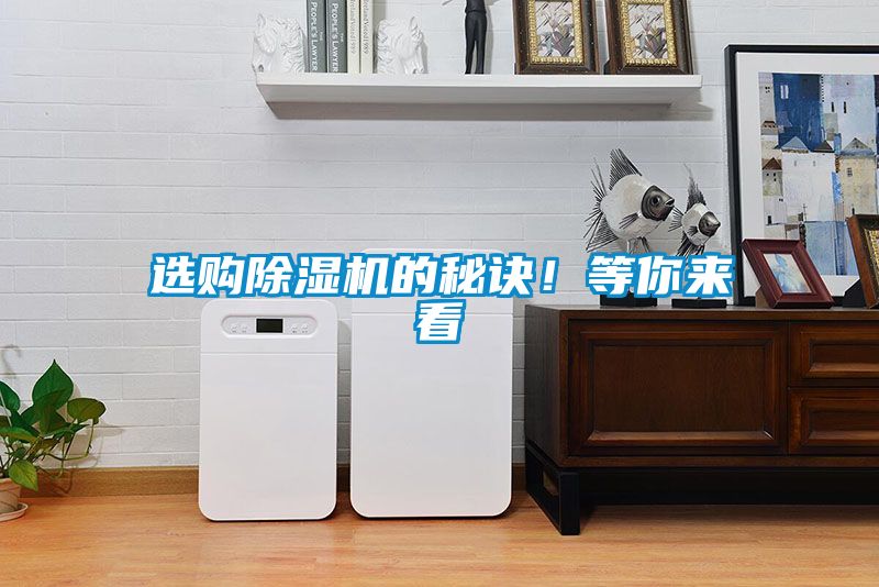 選購麻豆视频免费看的秘訣！等你來看