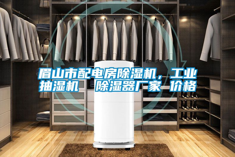 眉山市配電房麻豆视频免费看，工業抽濕機  除濕器廠家 價格