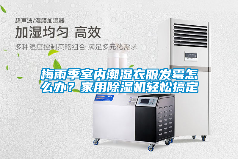 梅雨季室內潮濕衣服發黴怎麽辦？家用麻豆视频免费看輕鬆搞定