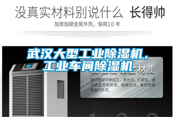 武漢大型工業麻豆视频免费看，工業車間麻豆视频免费看