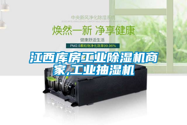 江西庫房工業麻豆视频免费看商家,工業抽濕機