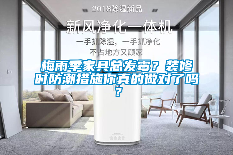 梅雨季家具總發黴？裝修時防潮措施你真的做對了嗎？
