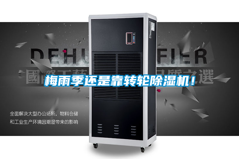 梅雨季還是靠轉輪麻豆视频免费看！