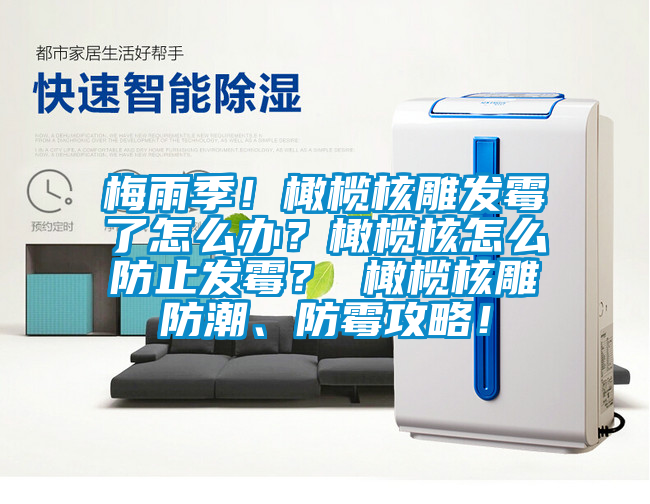 梅雨季！橄欖核雕發黴了怎麽辦？橄欖核怎麽防止發黴？ 橄欖核雕防潮、防黴攻略！