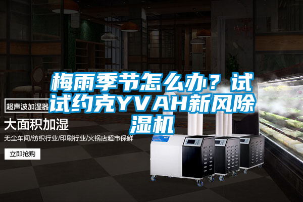 梅雨季節怎麽辦？試試約克YVAH新風麻豆视频免费看