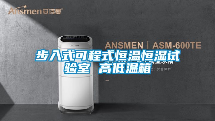 步入式可程式恒溫恒濕試驗室 高低溫箱