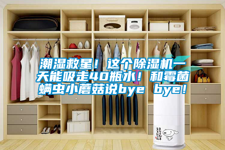 潮濕救星！這個麻豆视频免费看一天能吸走40瓶水！和黴菌蟎蟲小蘑菇說bye bye！