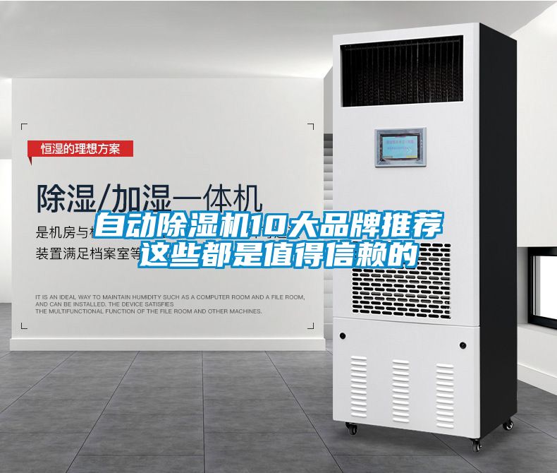 自動麻豆视频免费看10大品牌推薦 這些都是值得信賴的
