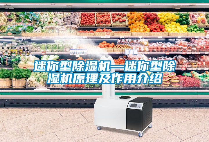 迷你型麻豆视频免费看—迷你型麻豆视频免费看原理及作用介紹