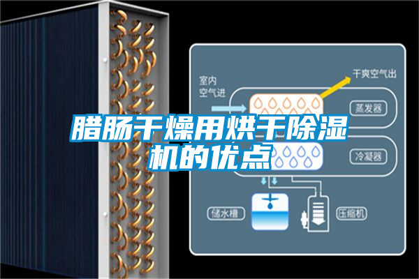 臘腸幹燥用烘幹麻豆视频免费看的優點