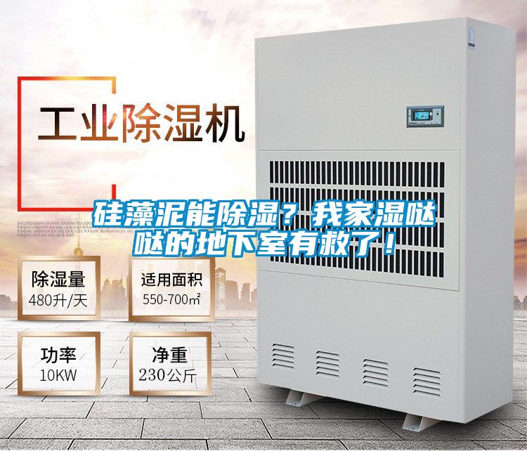 矽藻泥能除濕？我家濕噠噠的地下室有救了！